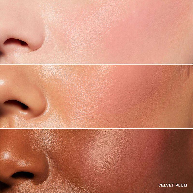 Bobbi Brown Pot Rouge for Lips & Cheeks image number 20
